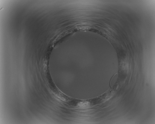 X0000062620271200512281537