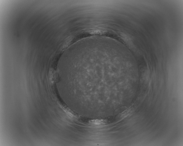 X0000062620273200512281537