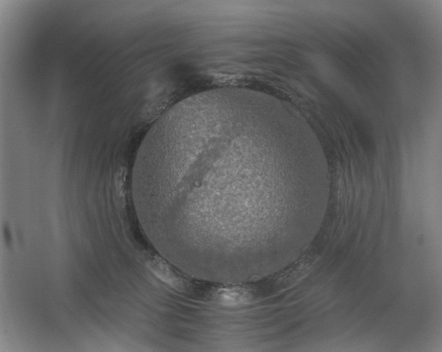 X0000062620275200512281537