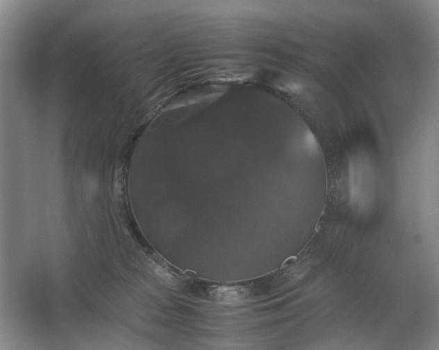 X0000062620277200512281537