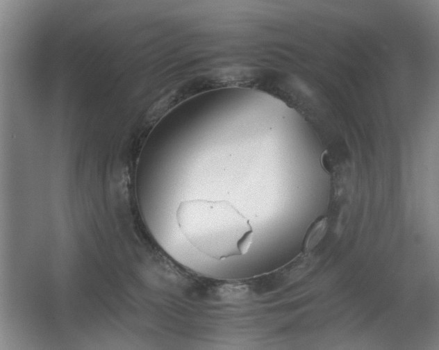 X0000062620279200512281537