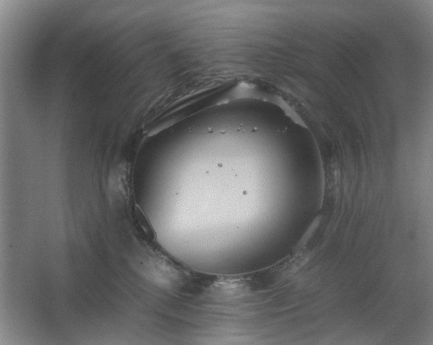 X0000062620280200512281537