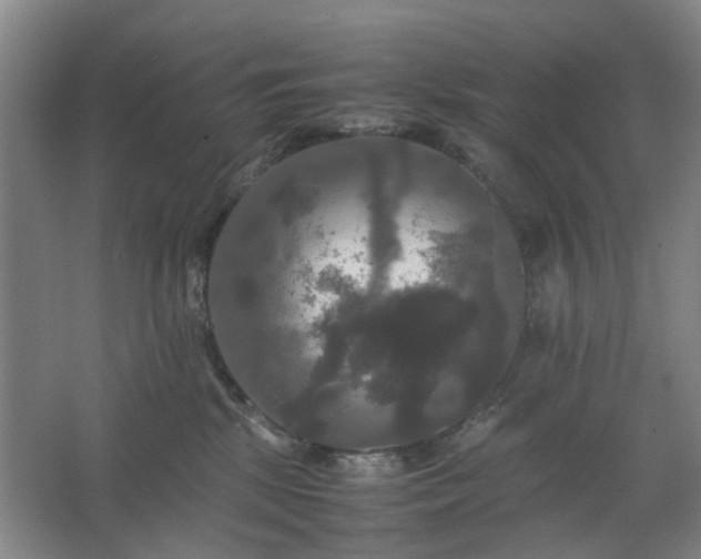 X0000062620281200512281537