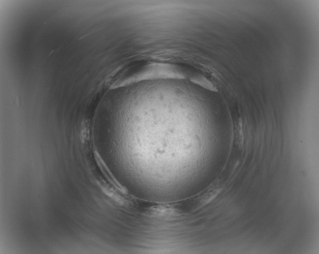 X0000062620284200512281537