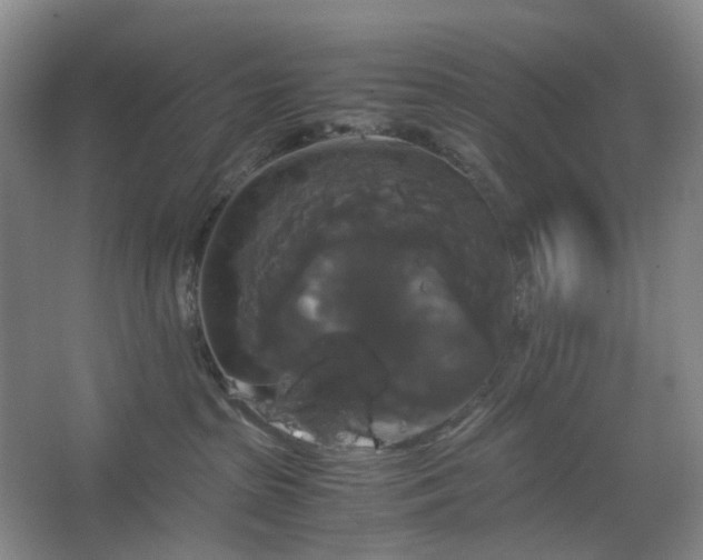 X0000062620285200512281537