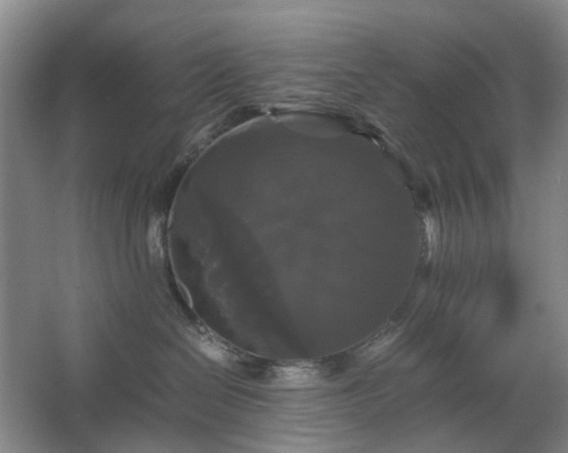 X0000062620286200512281537