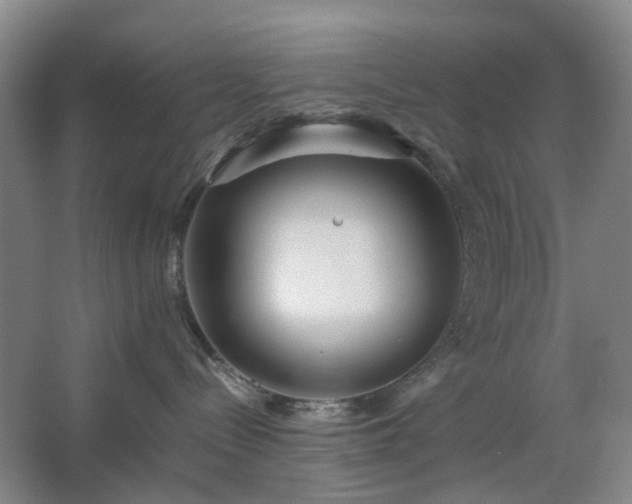 X0000062620288200512281537