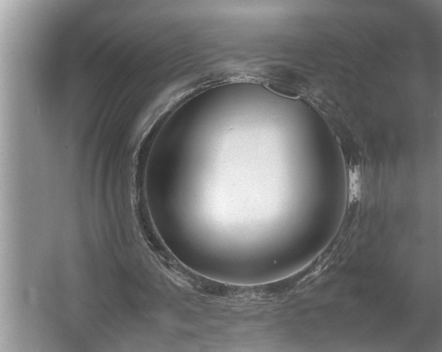 X0000062620291200512281536