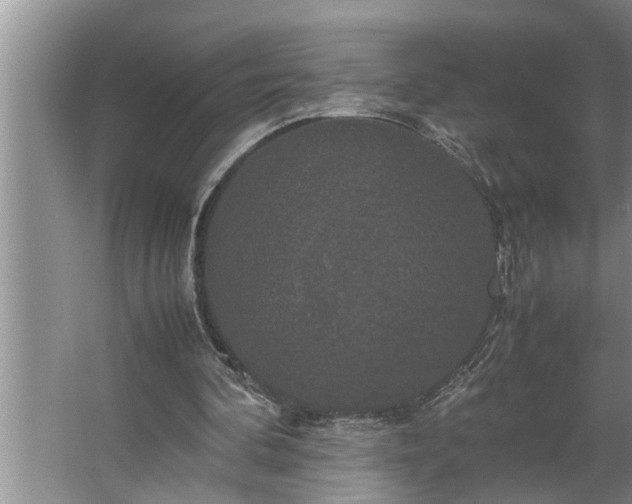 X0000062620292200512281536