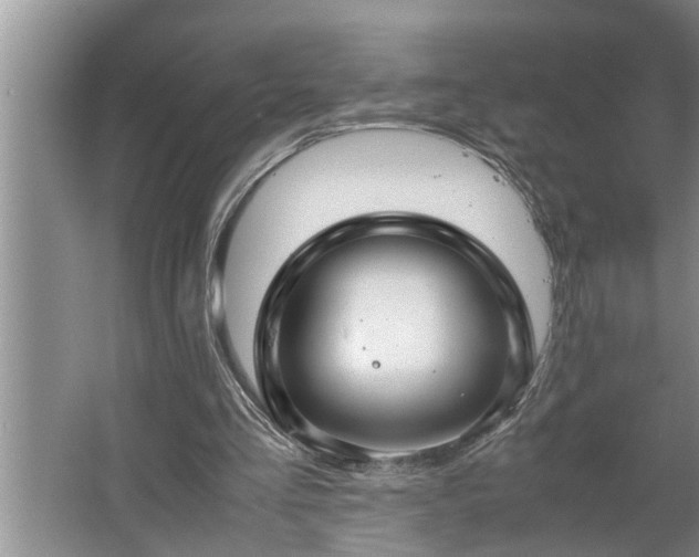 X0000062620293200512281536