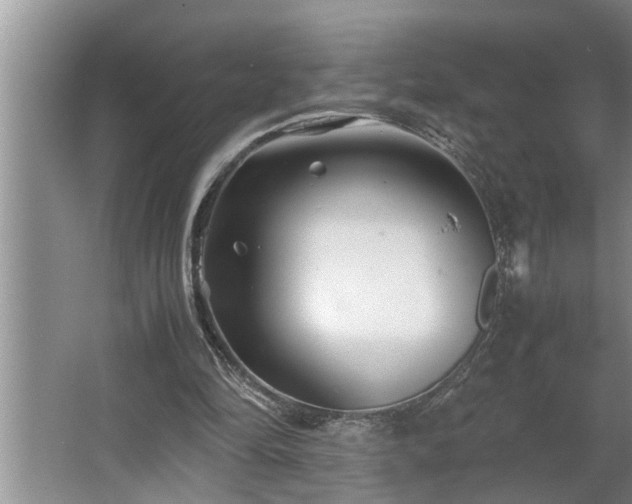 X0000062620294200512281536