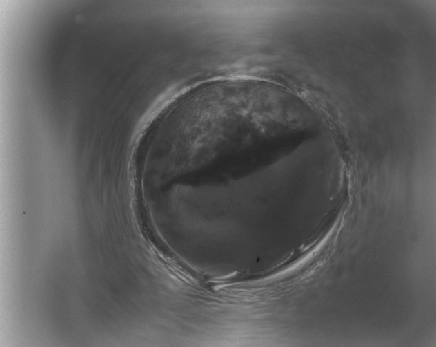 X0000062620295200512281536