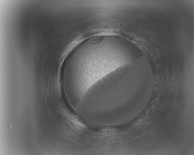 X0000062620296200512281536