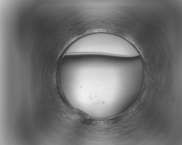 X0000062620297200512281536