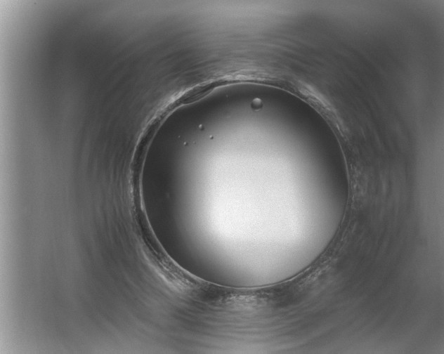 X0000062620298200512281536