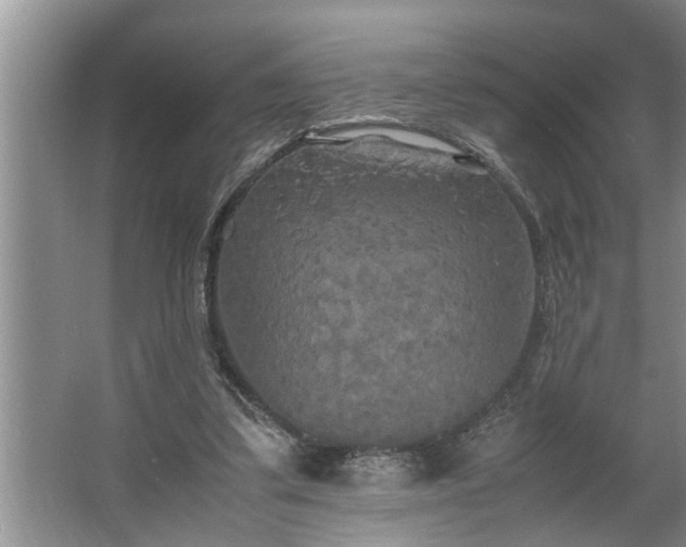 X0000062620299200512281536