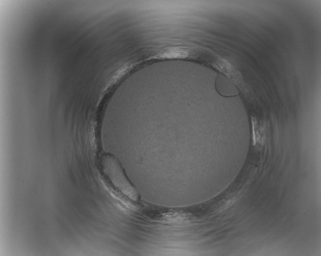 X0000062620300200512281536