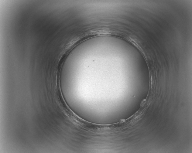 X0000062620301200512281536