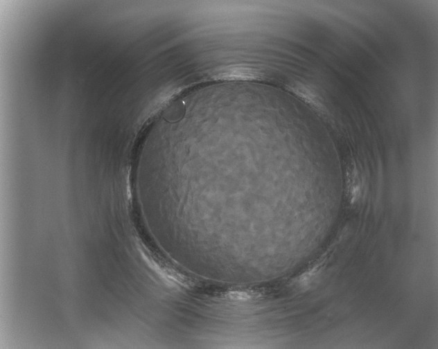 X0000062620302200512281536