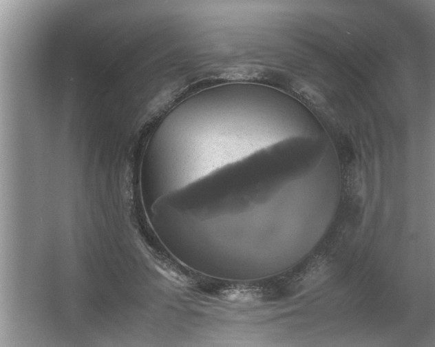 X0000062620303200512281536