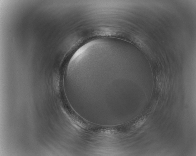 X0000062620304200512281536