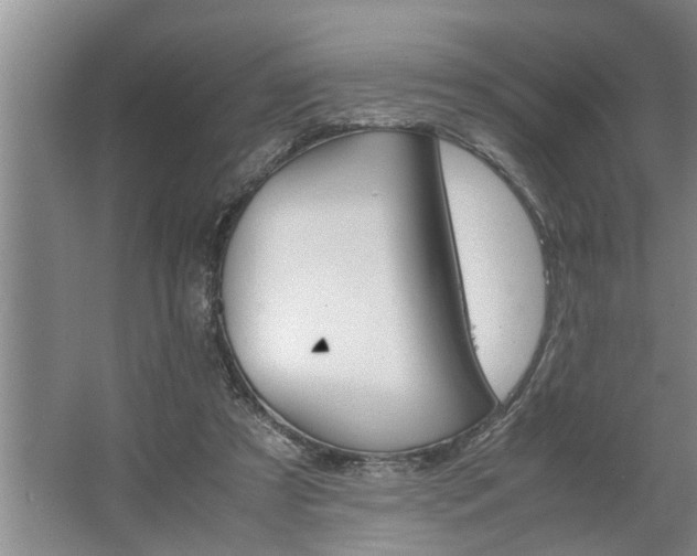 X0000062620305200512281536