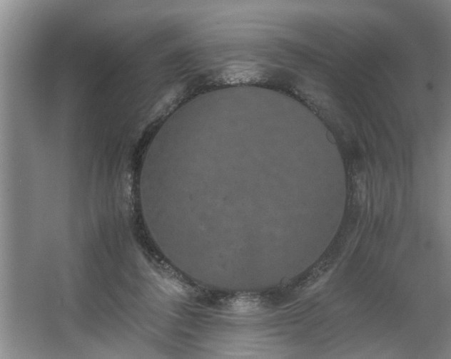 X0000062620308200512281536