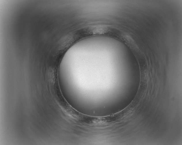 X0000062620311200512281536