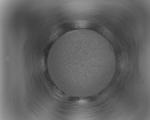 X0000062620312200512281536