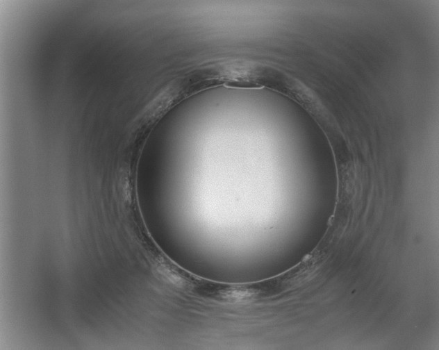 X0000062620313200512281536