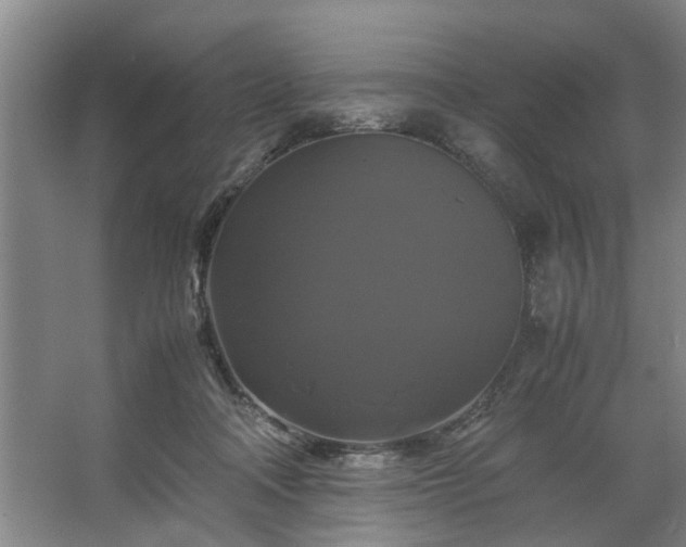 X0000062620314200512281536