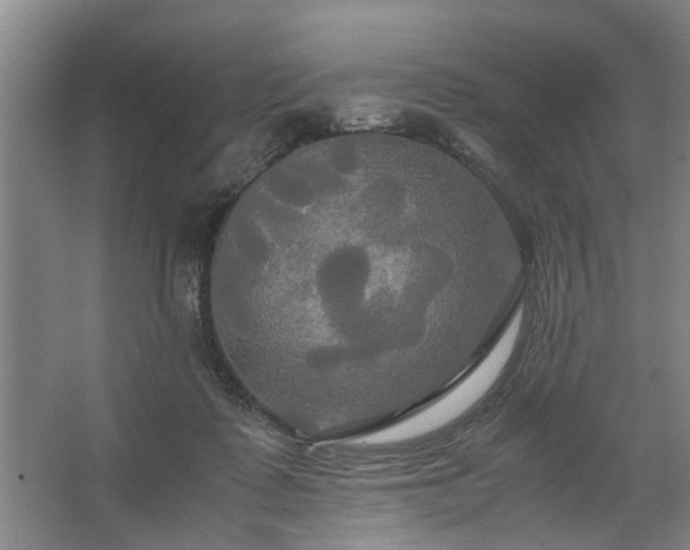 X0000062620315200512281536