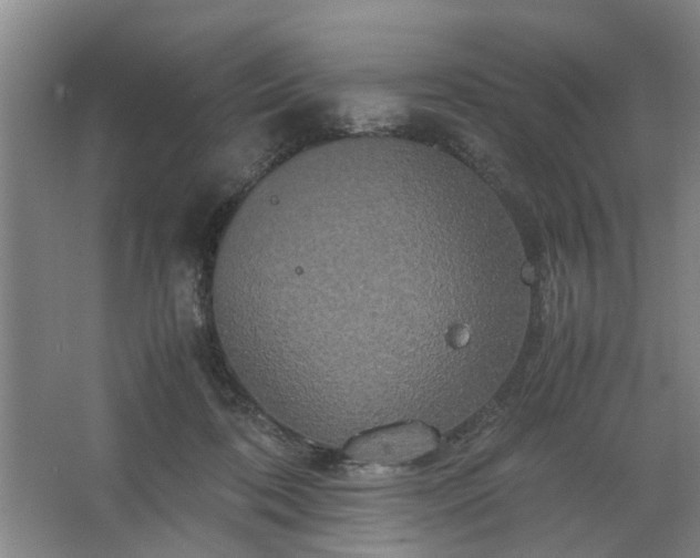 X0000062620316200512281536