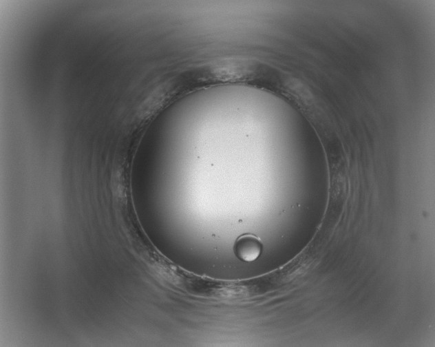 X0000062620317200512281536