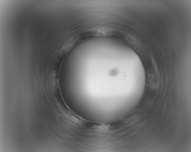 X0000062620318200512281536