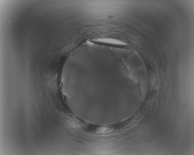 X0000062620319200512281536