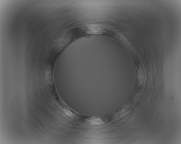 X0000062620322200512281536