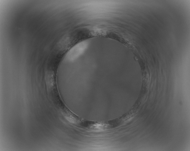 X0000062620323200512281536