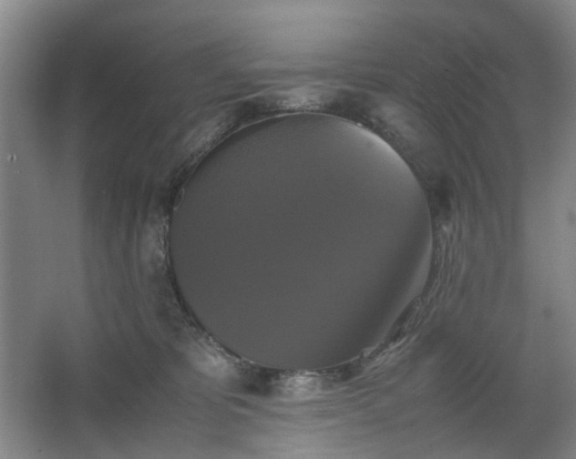 X0000062620325200512281536