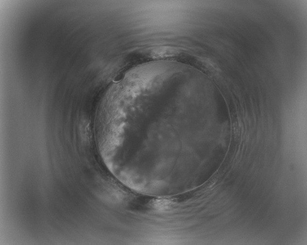 X0000062620327200512281536