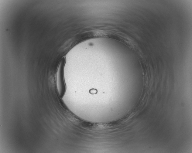 X0000062620329200512281536