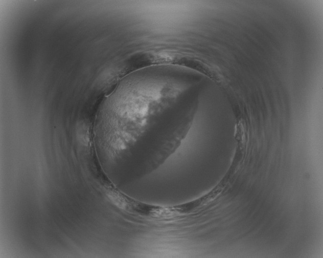 X0000062620331200512281536