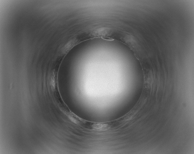 X0000062620334200512281536