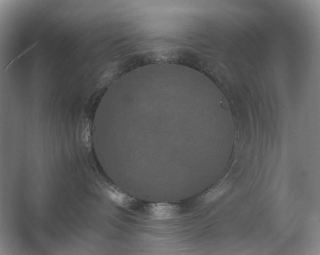 X0000062620336200512281536