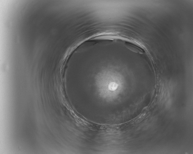 X0000062620337200512281535