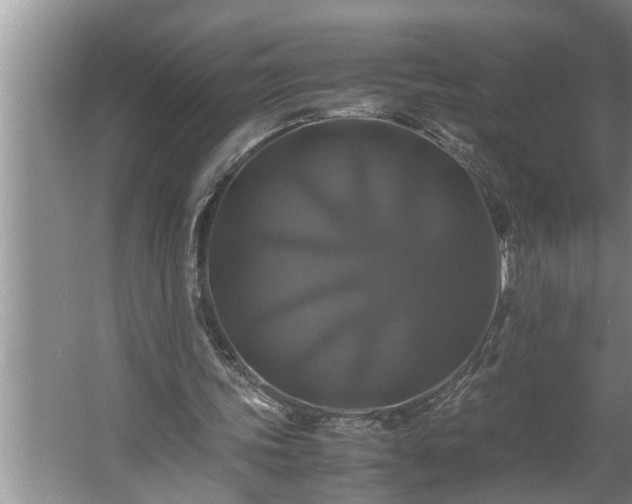 X0000062620339200512281535