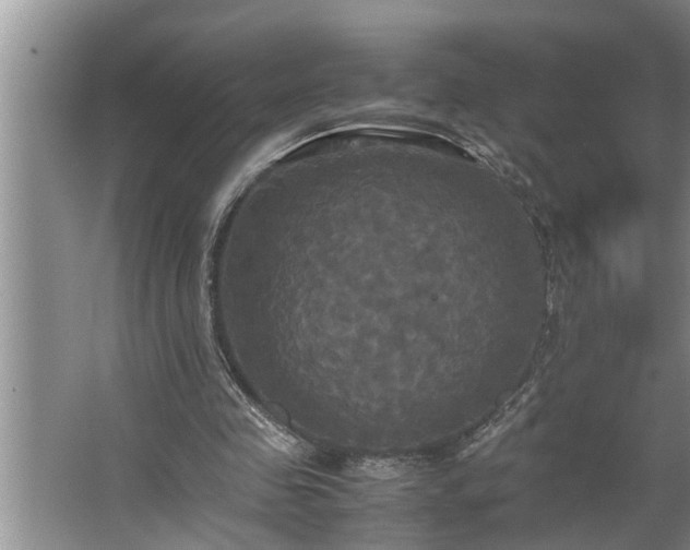 X0000062620341200512281535