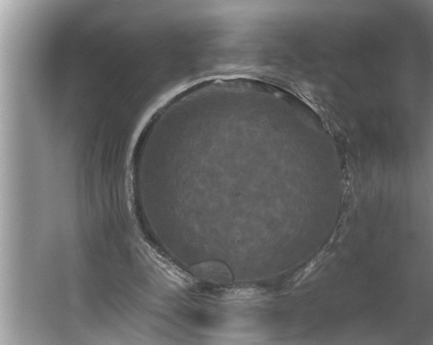 X0000062620342200512281535