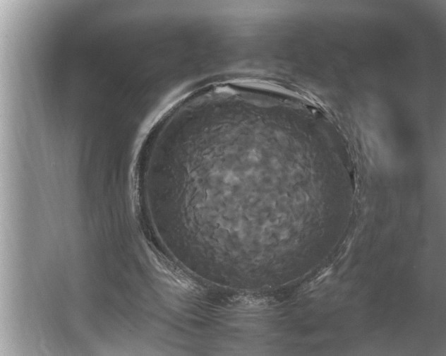 X0000062620343200512281535