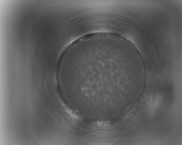 X0000062620345200512281535